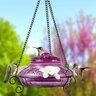 Antique Glass Top-Fill Hummingbird Feeder 6-1/4 in.