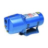 3/4 HP Jet Pump Goulds
