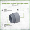 3/4 PVC Conduit Male Terminal Adapter
