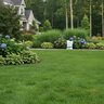 GreenEdge Fertilizer 14-1-7 Elite MU BIO 0.65%Fe 3.5%Mg 1.7%Ca 50 lb.