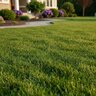 GreenEdge 0-0-22 11%Mg 22%s 100% K-Mag Turfgrass Mini Granular Fertilizer 50 lb. Bag