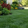 GreenEdge Fertilizer 15-5-8 BIO Nitrate Humic Fulvic Micros 50 lb. Bag