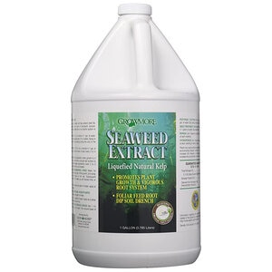 Seaweed Extract N-O Gallon