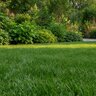 GrowStar 14-20-12 20% CAL-XC Turfgrass Granular Fertilizer 50 lb. Bag