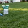 GrowStar 39-0-0 30% CRN 2%Fe Turfgrass Granular Fertilizer 50 lb. Bag