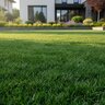 GrowStar 18-0-6 30% CRN 2%Fe + AMP Turfgrass Granular Fertilizer 50 lb. Bag