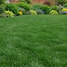 GrowStar Fertilizer 15-20-5 A/C 50 lb.