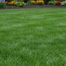 GrowStar Fertilizer 9-0-6 A/C 6Fe 50 lb.