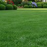 GrowStar 33-0-17 Spreadable / Sprayable 50 lb.