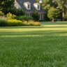 GrowStar 20-0-4 50% CRN 4Fe Fertilizer 50 lb.