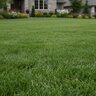 GrowStar 13-16-10 AMPXc Anuvia STARTER 50 lb. Bag