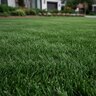 GrowStar 18-0-18M SOP Mini 75% SN 25% AS Granular Fertilizer 50 lb. Bag