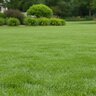 GrowStar 18-0-18 40% CRN 2Fe 50 lb.