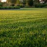 GrowStar Fertilizer 22-0-3 50% XCU 50 lb.