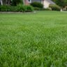GrowStar 13-1-13E 95 SCU 2.7% Fe 2% Mn Turfgrass Granular Fertilizer 50 lb.