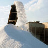 Gunther Granular Rock Salt 50 lb.