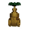 Hammond 667 Gate Valve 1-1/2 in.
