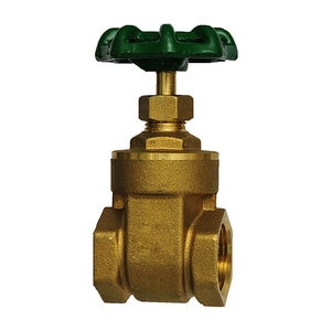 Hammond Gate Valve 667 Series Threaded 200 PSI 1 in. Brass 
