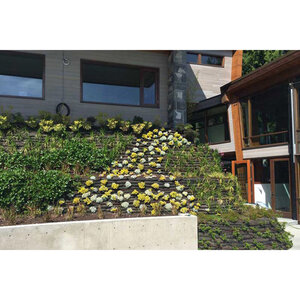 Landscape Fabric-Pro Chrome Plus 6 ft. X 300 ft.