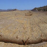 Straw Wattle 9 in. x 25 ft.