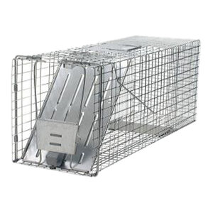 Havahart Raccoon / Groundhog / Skunk Cage Trap
