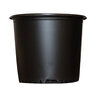 Haviland Nursery Container 3 gal.