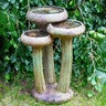 Henri Birdbath Water Lilies 17-1/2 in. x 25 in.
