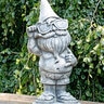 Henri Dude Garden Gnome 9 in. x 21 in.