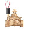 Hunter Globe Valve IBV Brass 1-1/2 in. w/ Flow Control and Filter Sentry FIPT x FIPT