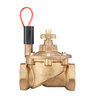 Hunter Globe Valve IBV Brass 2 in. w/ Flow Control and Filter Sentry FIPT x FIPT