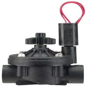 Hunter Globe Valve ICV Glass Filled Nylon 1 in. w/ Flow Control and Filter Sentry FIPT x FIPT