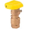 Hunter Quick Coupling Valve 3/4 in. FIPT Inlet 2 pc. Body 2-Slots with Yellow Rubber Cover