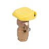 Hunter Quick Coupling Valve 3/4 in. FIPT Inlet 2 pc. Body 2-Slots with Yellow Rubber Cover