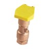 Hunter Quick Coupling Valve 1 in. FIPT Inlet 2 pc. Body 1 Slot with Yellow Rubber Locking Cover