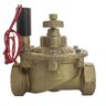 Hunter Globe Valve IBV Brass 1-1/2 in. w/ Flow Control and Filter Sentry FIPT x FIPT