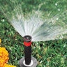 Hunter PRO Nozzle Half Circle 10 ft. 180 Degree