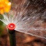 Hunter PS Ultra Spray Body 6 in. Pop Up with 10AHE Nozzle