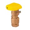 Hunter Quick Coupling Valve 3/4 in. FIPT Inlet 2 pc. Body 2-Slots with Yellow Rubber Cover