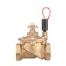 Hunter Globe Valve IBV Brass 2 in. w/ Flow Control and Filter Sentry FIPT x FIPT