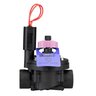 Hunter Globe Valve ICV Glass Filled Nylon 1 in. FIPT x FIPT w/ Flow Control & Filter Sentry