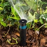 Hunter PRO Nozzle Center Strip 5 ft. x 30 ft. 