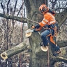 Husqvarna 40V T542i XP Brushless Cordless 14 in. Top Handle Chainsaw Kit