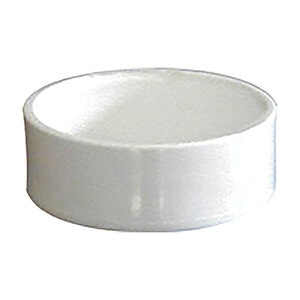 Rafferty Cap Fitting Sch 40 PVC 4 in. Slip On