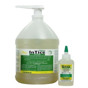 Intice Thiquid Ant Bait 4 oz.