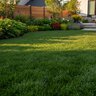 JTM Activator Ca Fertilizer 0-5.5-0 w/ Humates 50 lb.