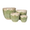 Spring Cup Fresh Green 14 in.