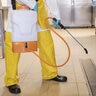 Jacto SB8U 2-Gallon Shoulder Carry Battery Sprayer, 5.3lbs Constant Pressure 2+hour Battery FKM Seals
