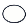 Jain 4E Filter O-Ring 1-1/2 in. - 2 in.