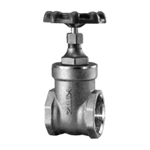 Gate Valve Fnpt 200 PSI 2 in. Forged Brass 