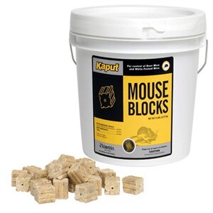 Kaput Mouse Blocks Pest Control